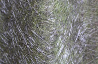 Foundry Hill fibreglass roof work